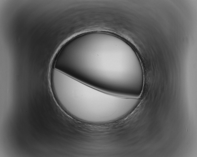 X0000098161508200804171206