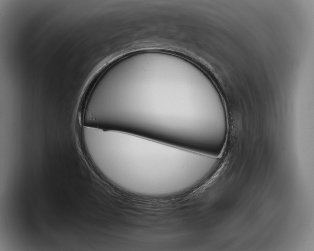 X0000098161509200804171206
