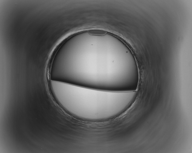 X0000098161510200804171206