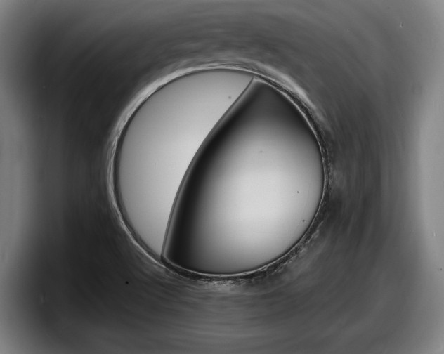 X0000098161512200804171207