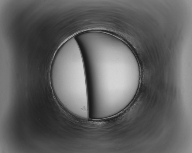 X0000098161513200804171207