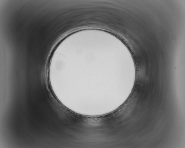 X0000098161514200804171207