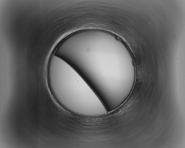 X0000098161515200804171207