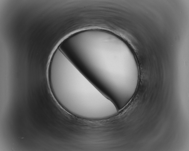 X0000098161516200804171207