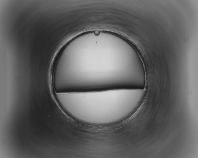 X0000098161517200804171207