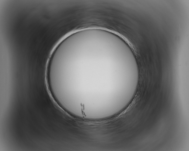 X0000098161518200804171207