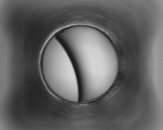 X0000098161519200804171207