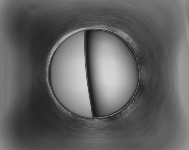X0000098161520200804171207