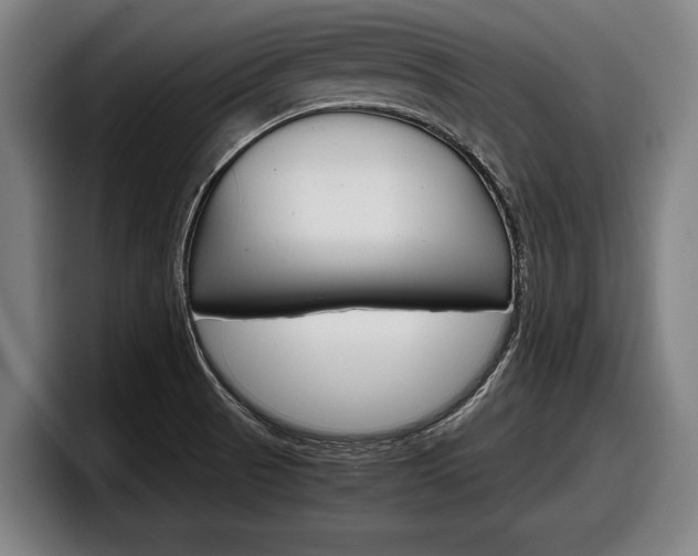 X0000098161521200804171207