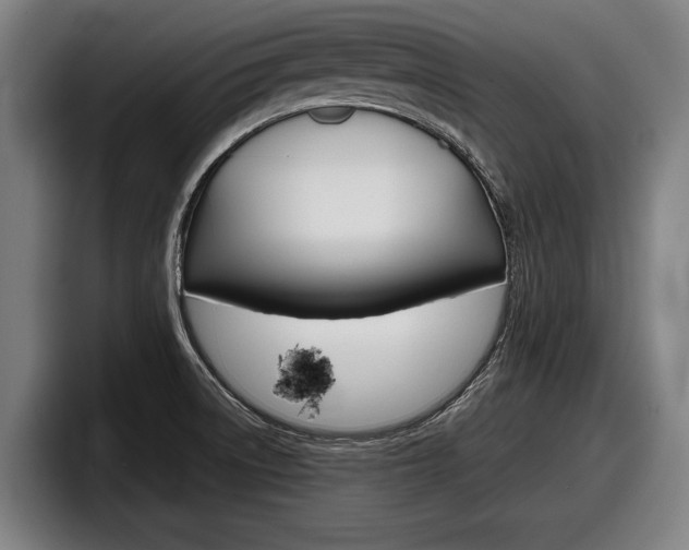 X0000098161522200804171207