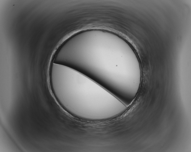 X0000098161525200804171207