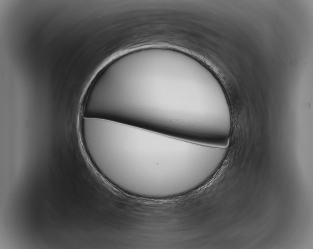 X0000098161526200804171207
