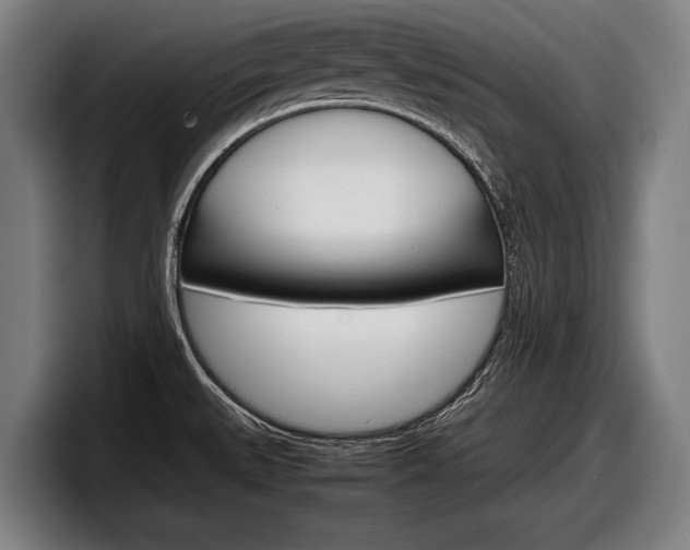 X0000098161527200804171207