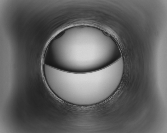 X0000098161528200804171207