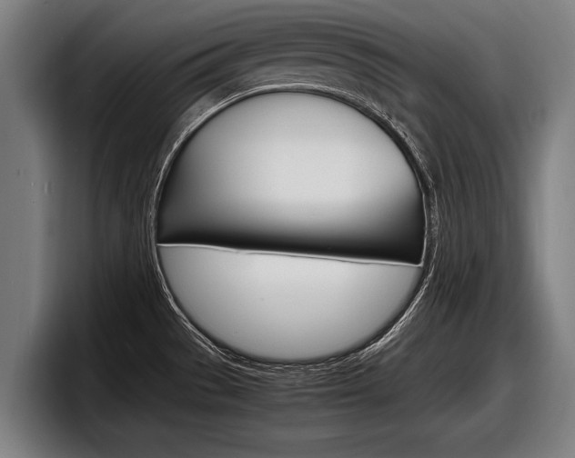 X0000098161529200804171207