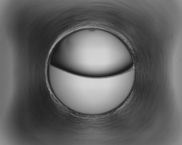 X0000098161530200804171207