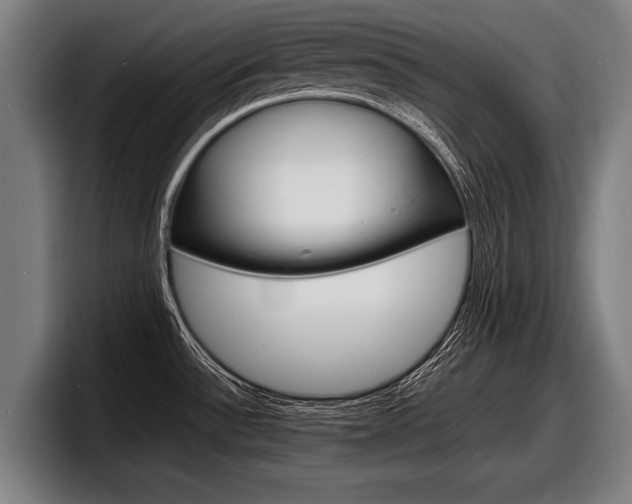 X0000098161532200804171207