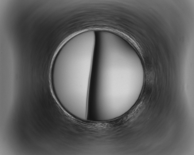 X0000098161533200804171207