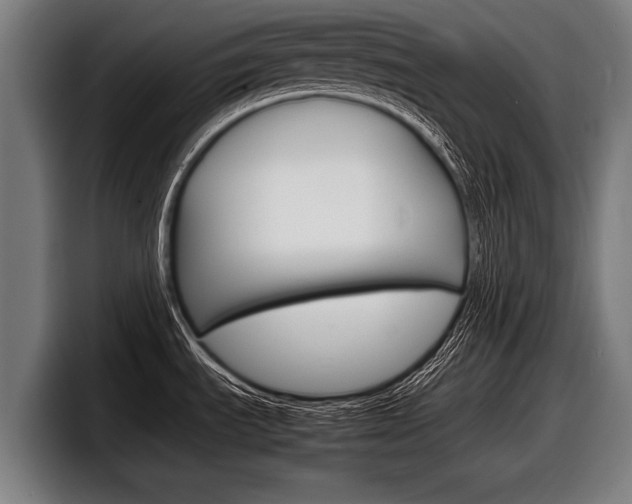 X0000098161535200804171207
