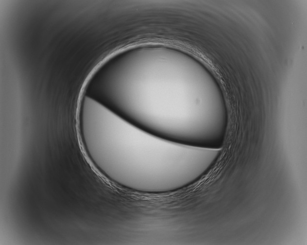 X0000098161536200804171207