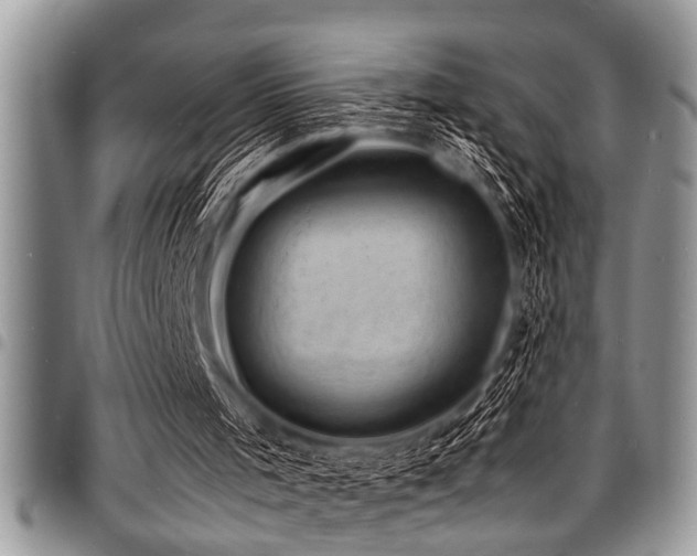 X0000098160001200804171611