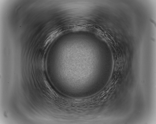X0000098160002200804171611