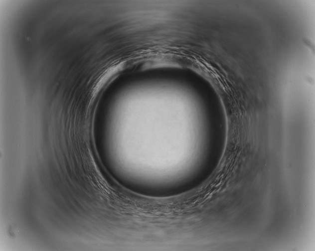 X0000098160003200804171611
