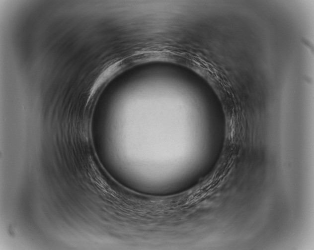 X0000098160004200804171611