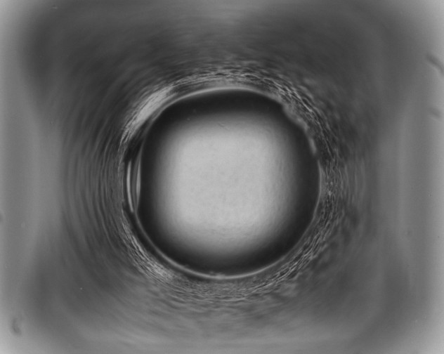 X0000098160005200804171611