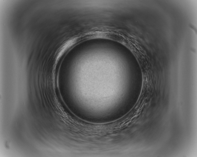X0000098160006200804171611