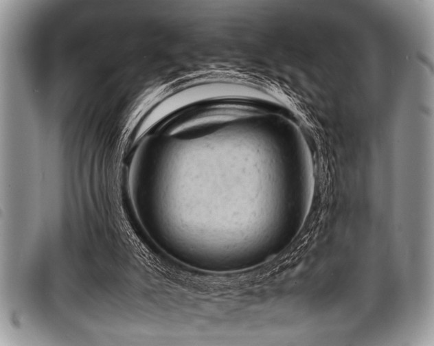 X0000098160007200804171611