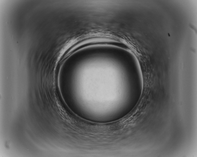 X0000098160008200804171611