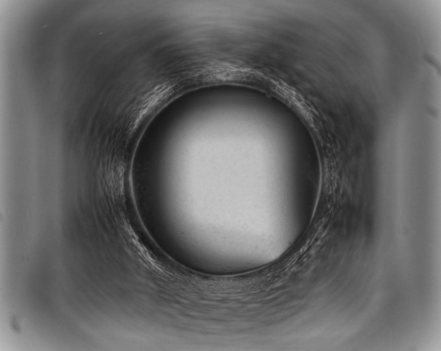 X0000098160010200804171611