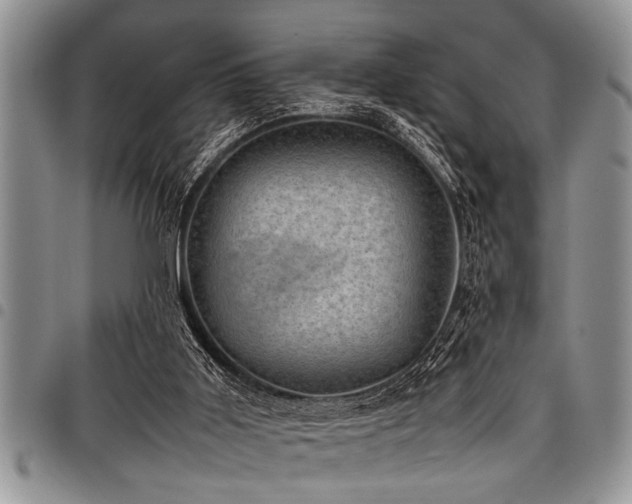 X0000098160011200804171611