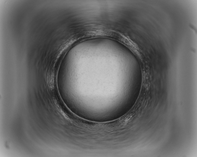 X0000098160012200804171611