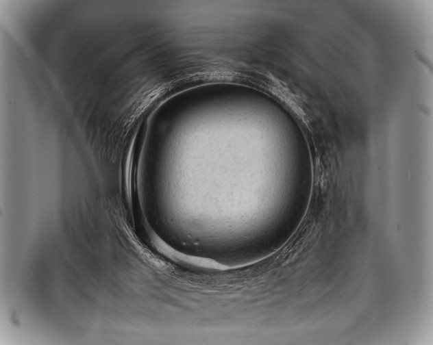 X0000098160013200804171611