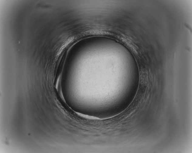 X0000098160015200804171611