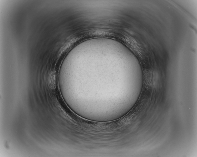 X0000098160016200804171611