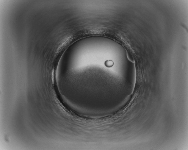 X0000098160019200804171611