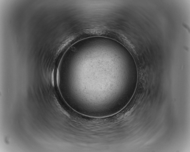 X0000098160020200804171611