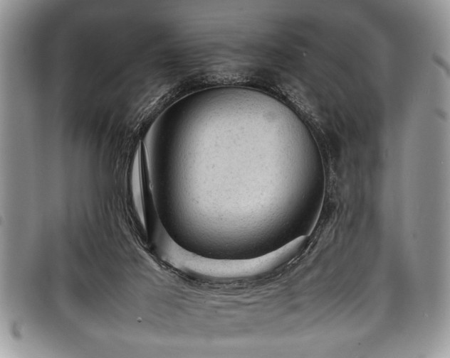 X0000098160021200804171611