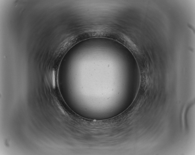X0000098160022200804171611
