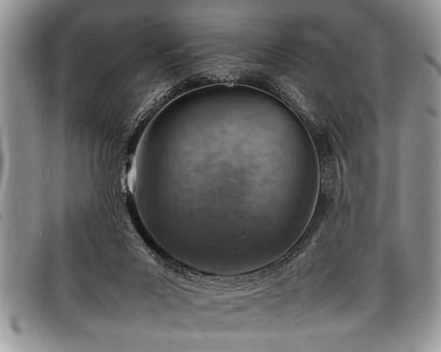 X0000098160023200804171611