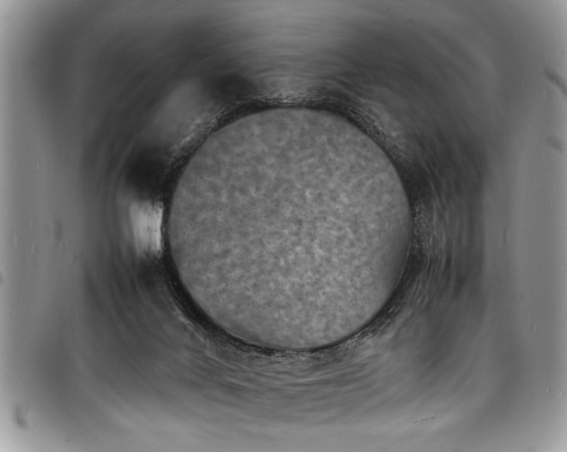 X0000098160024200804171611