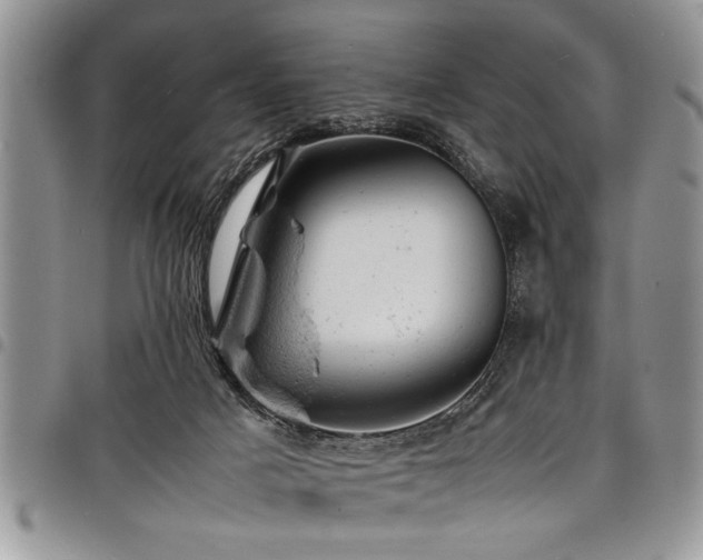 X0000098160025200804171611