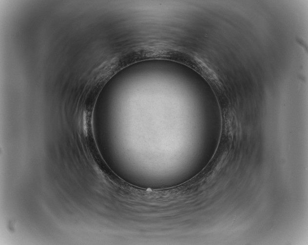 X0000098160026200804171610