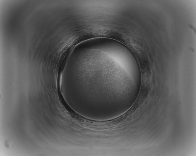 X0000098160027200804171610