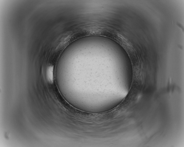 X0000098160028200804171610