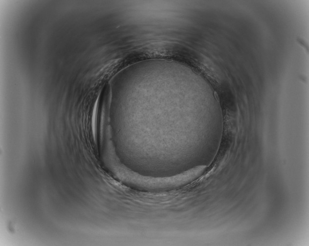 X0000098160029200804171610