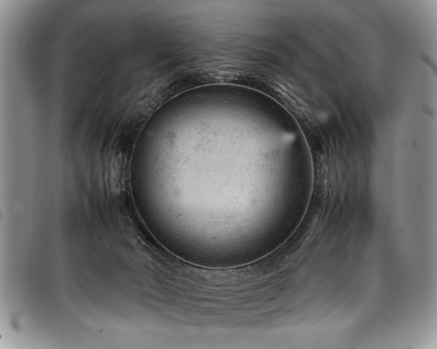 X0000098160030200804171610